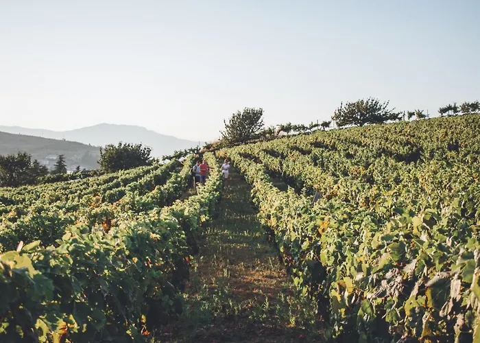 Casa Do Cruzeiro Quinta Do Couto * Armamar