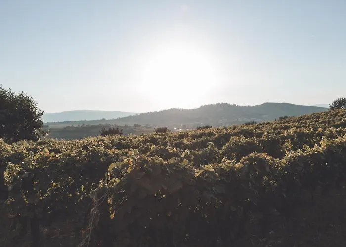 Vakantiehuis Casa Do Cruzeiro Quinta Do Couto