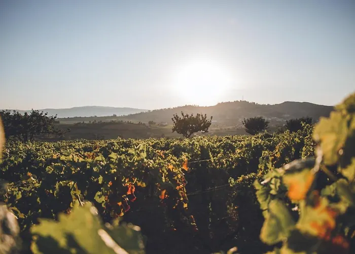 Casa Do Cruzeiro Quinta Do Couto * Armamar