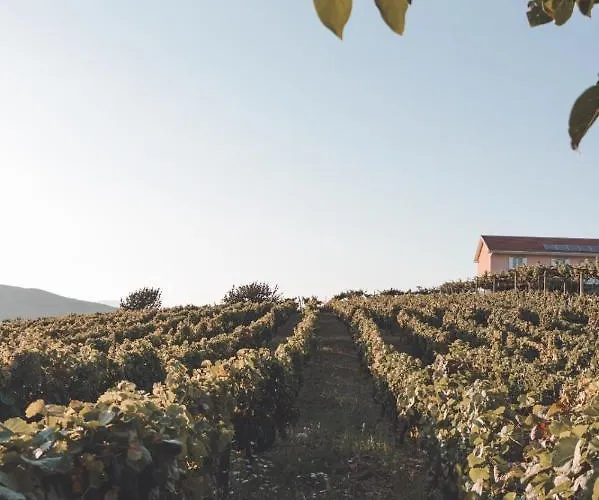 Casa Do Cruzeiro Quinta Do Couto * Armamar